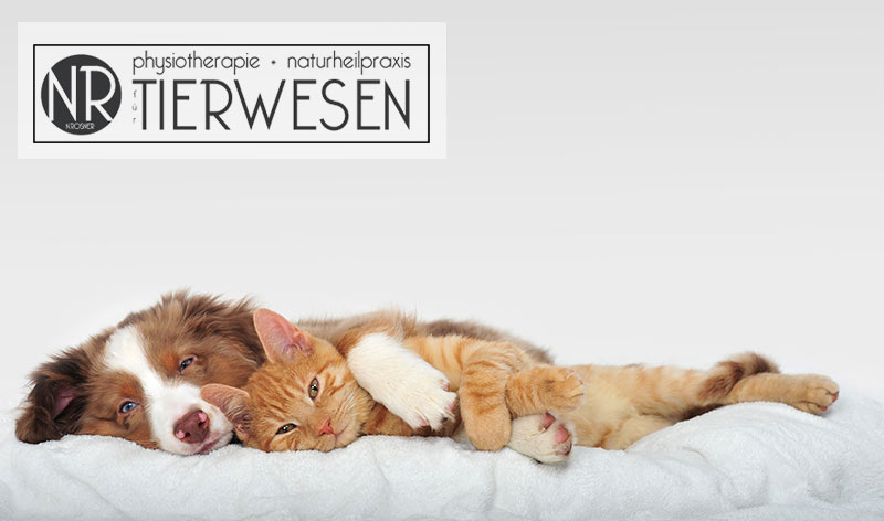 Tierwesen – Physio + Naturheilpraxis